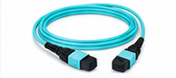 Fiber Optic MPO/MTP